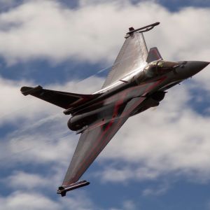 rafale photo by natasja hendrickx rafale photo by natasja hendrickx